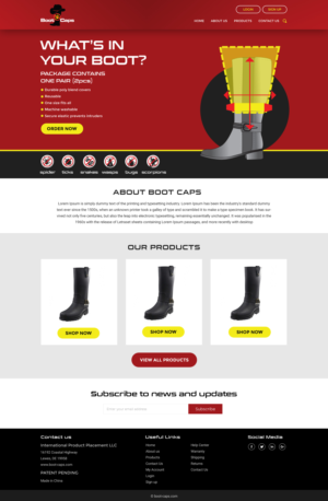 Web Design by Brajpal Freelance Website Designer
