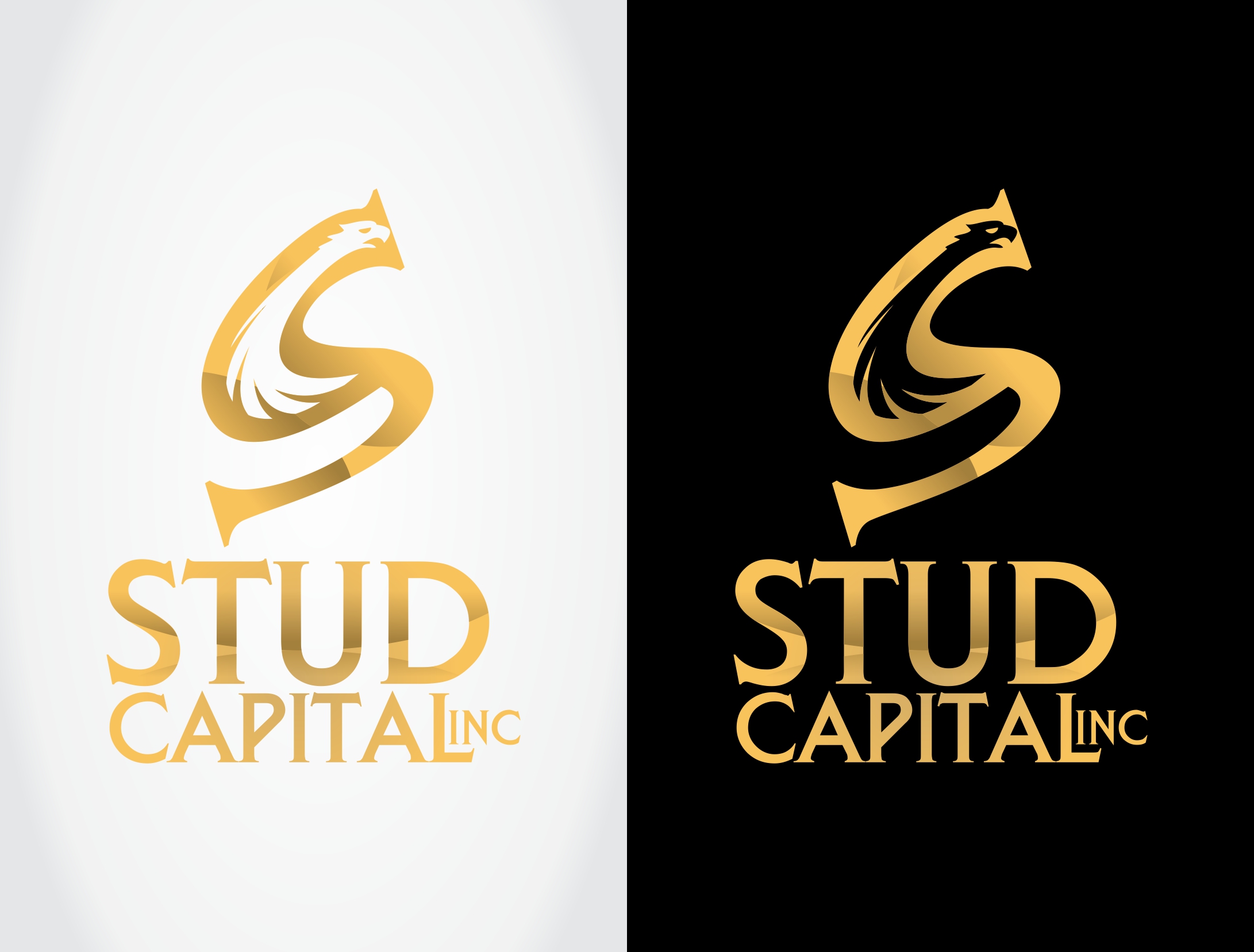 Logo Design by henryperea25 for this project | Design #23797523