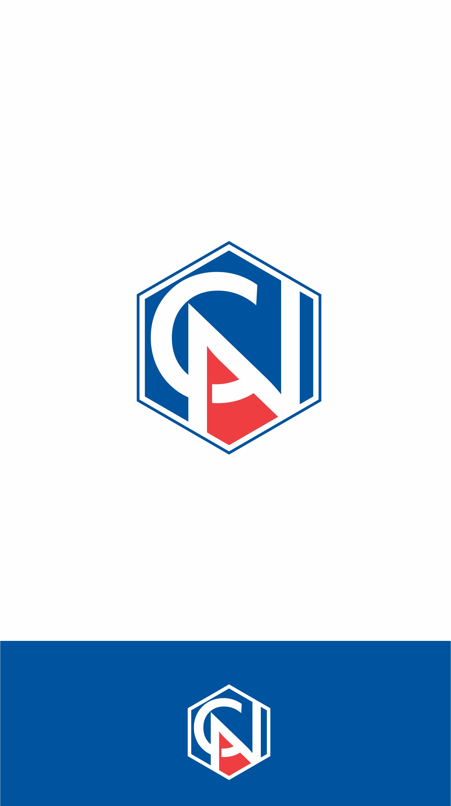 Logo Design by alok bhopatkar for this project | Design #23907358