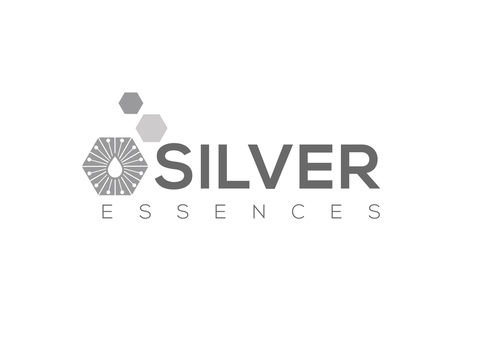Logo Design by ivo_i_ivanov for this project | Design #23821656