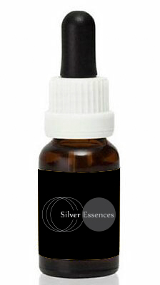 Logo Design by Graphics Design Help for this project | Design #23841649