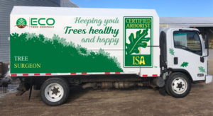 Design de Covering de Véhicule par Kira Graphics pour ECO Tree Company | Design : #23832759