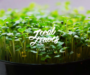 Logo Design by drekkk for this project | Design #23866062