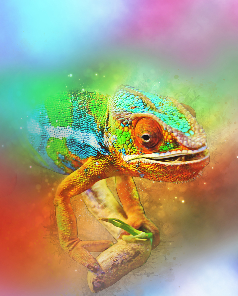 Graphic Design by Wally_F for this project | Design #23828071