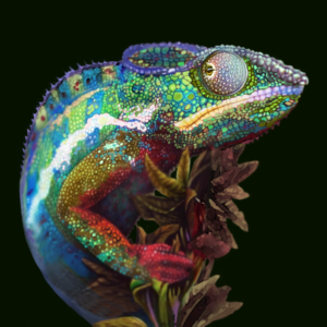 Realistic Chameleon Design to be used as part of a book cover.