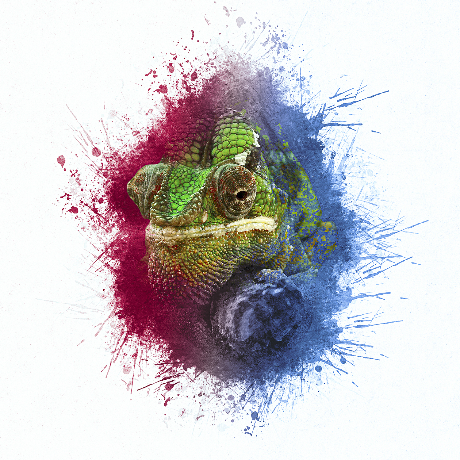 Diseño Gráfico por BurakBa para este proyecto | Diseño #23828659