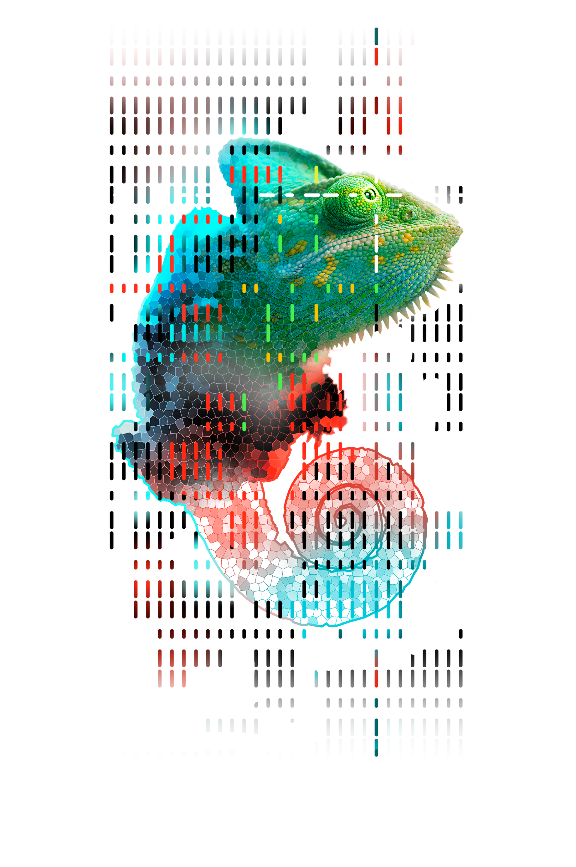 Graphic Design by Ivan-D 2 for this project | Design #23822165