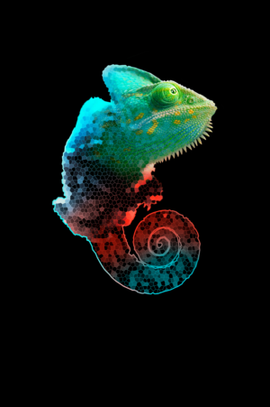 Graphic Design by Ivan-D 2 for this project | Design: #23822202
