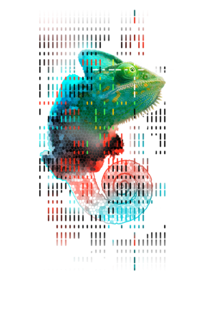 Graphic Design by Ivan-D 2 for this project | Design: #23822203