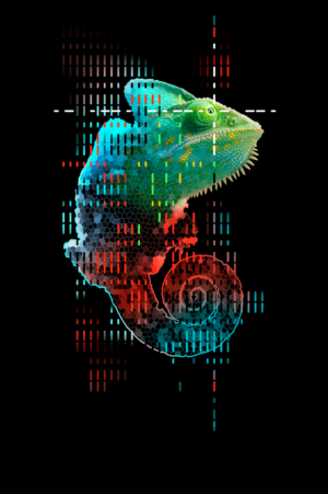 Graphic Design by Ivan-D 2 for this project | Design: #23822204