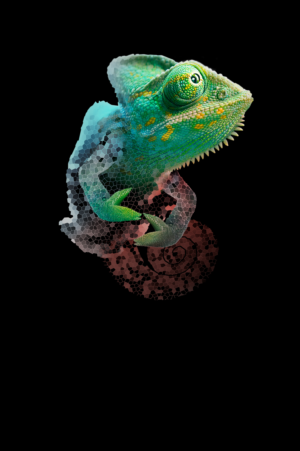 Graphic Design by Ivan-D 2 for this project | Design: #23831713