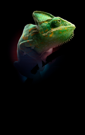 Graphic Design by Ivan-D 2 for this project | Design #23848141