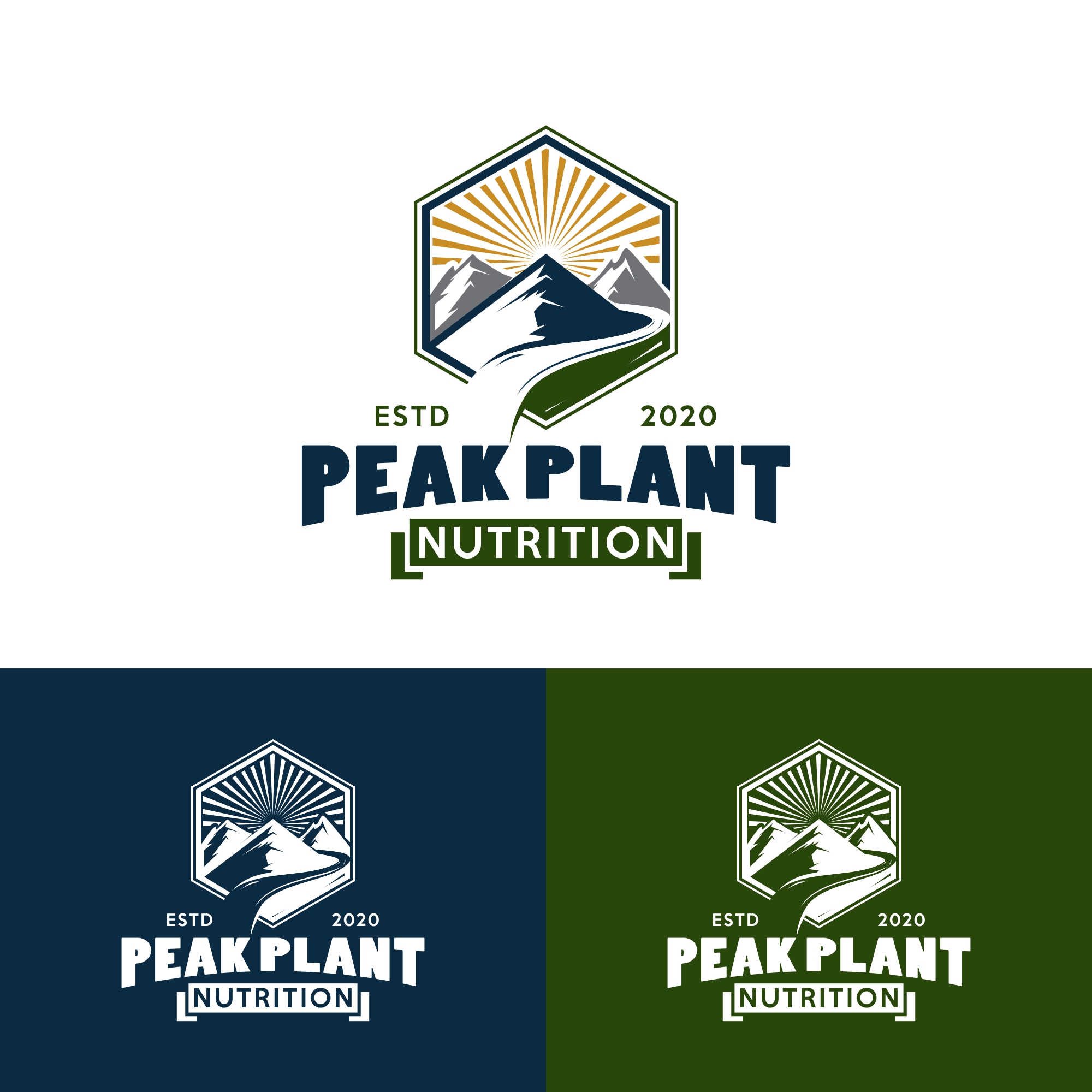 Logo Design by fly  design for this project | Design #23820236