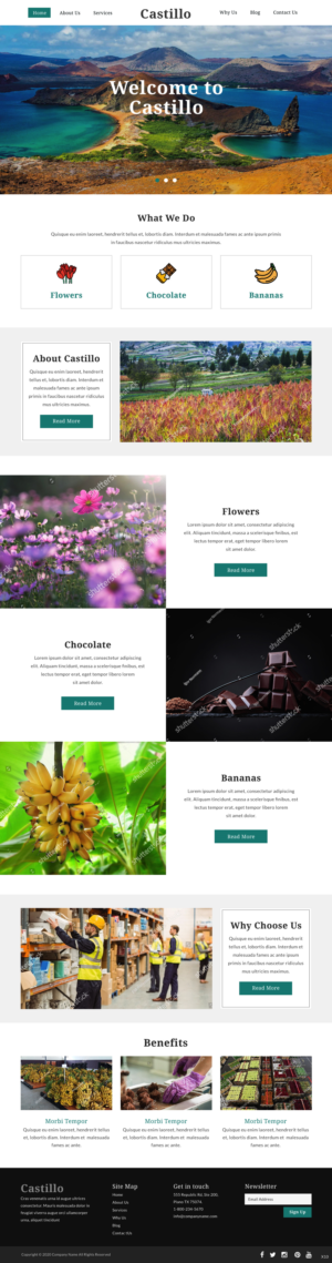 Web Design by pb for this project | Design: #23830599