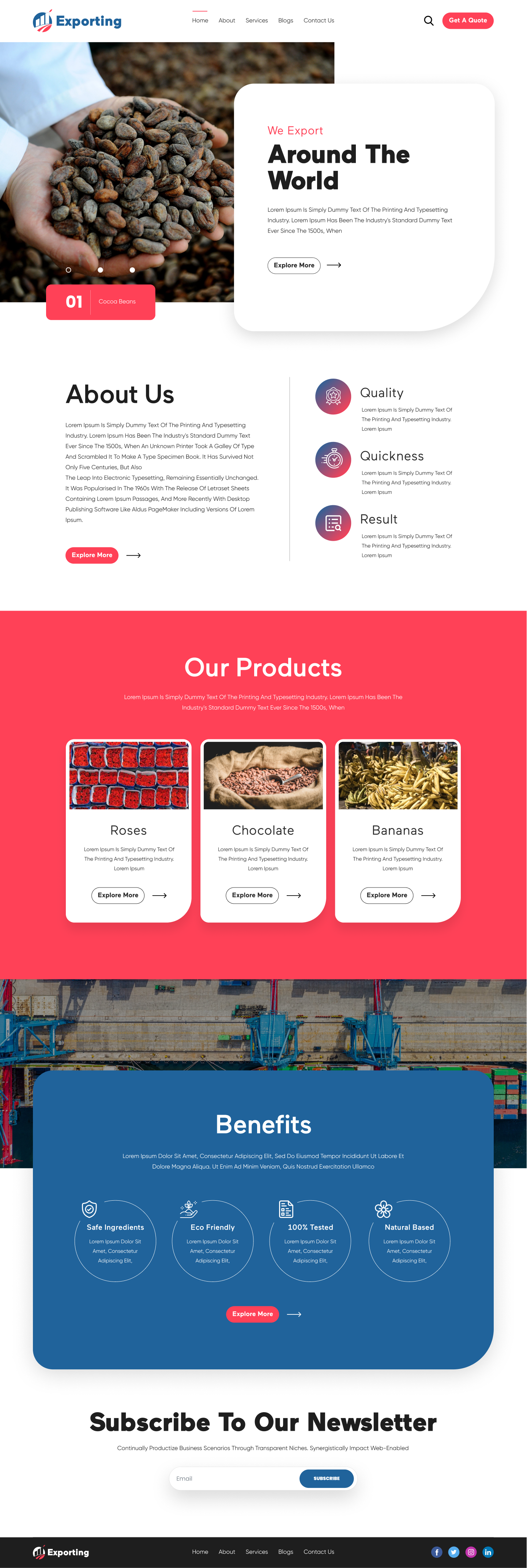 Web Design by Hassaan Shah for this project | Design: #23828107