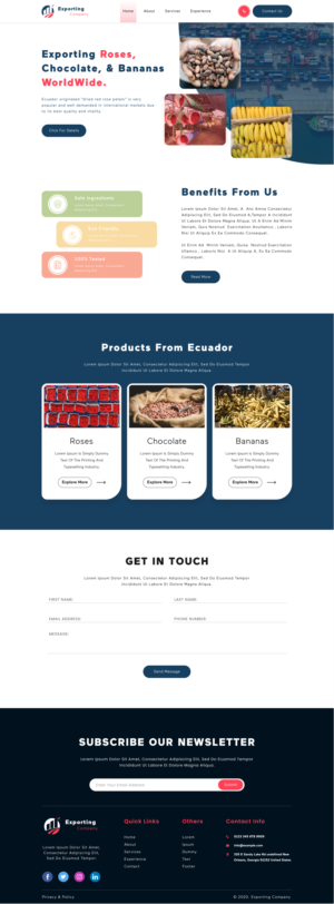 Web Design by Hassaan Shah for this project | Design: #23828112