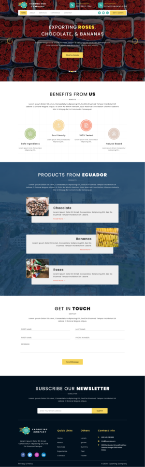 Web Design by Hassaan Shah for this project | Design: #23828115