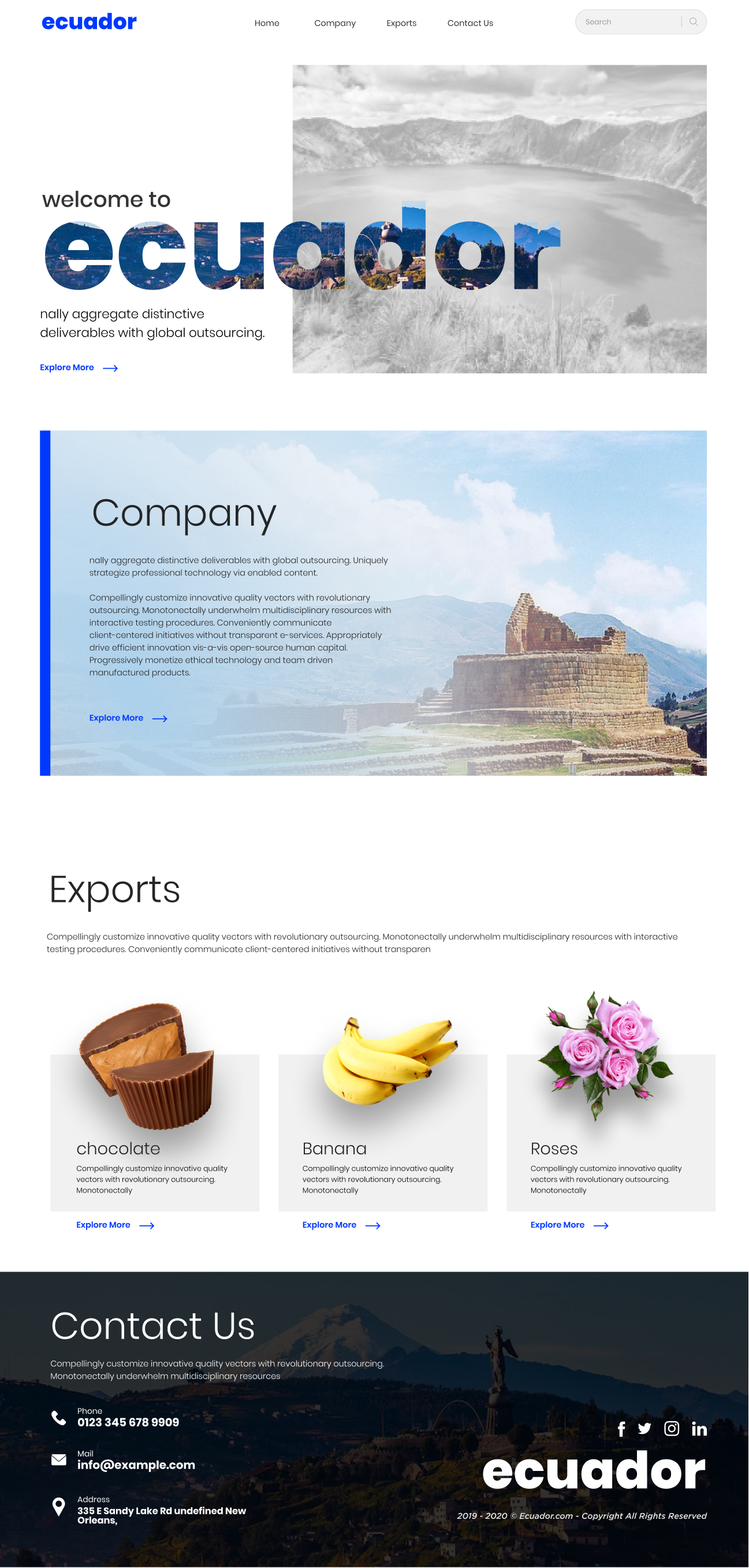 Web Design by Hassaan Shah for this project | Design #23842912