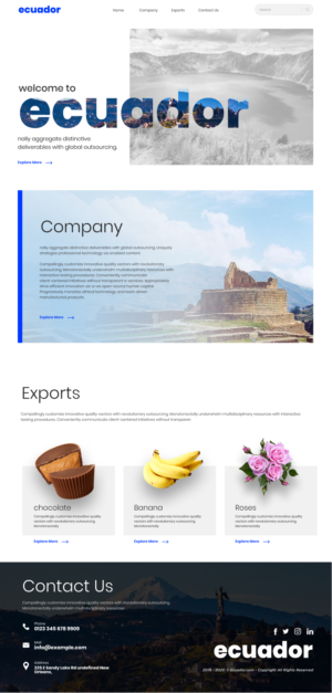 Web Design by Hassaan Shah for this project | Design: #23842912
