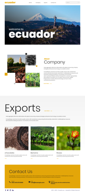 Web Design by Hassaan Shah for this project | Design: #23842913