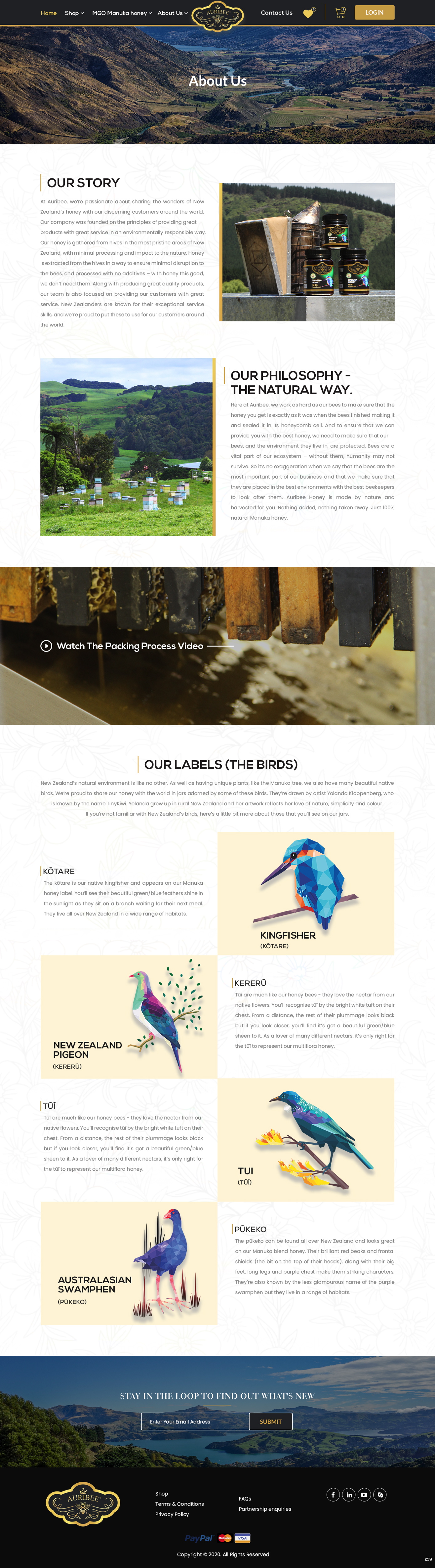 Web Design by pb for Aurihealth | Design #23956121