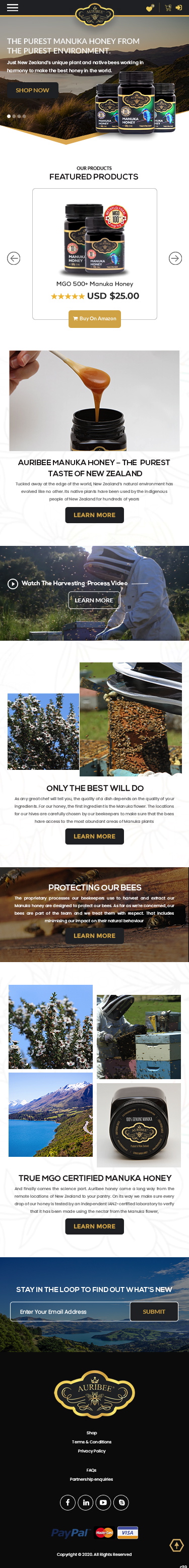 Web Design by pb for Aurihealth | Design #23956127