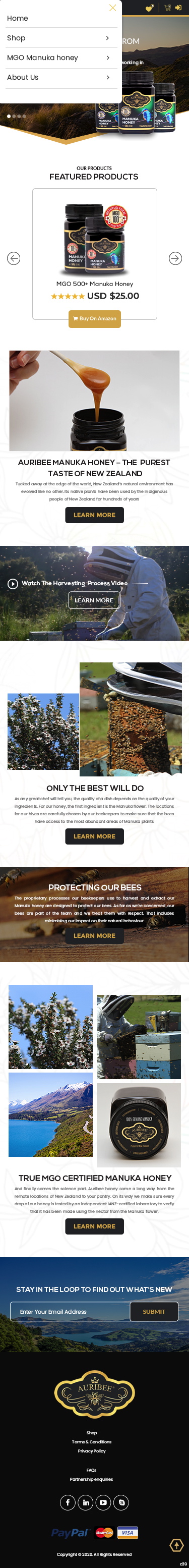 Web Design by pb for Aurihealth | Design #23956128