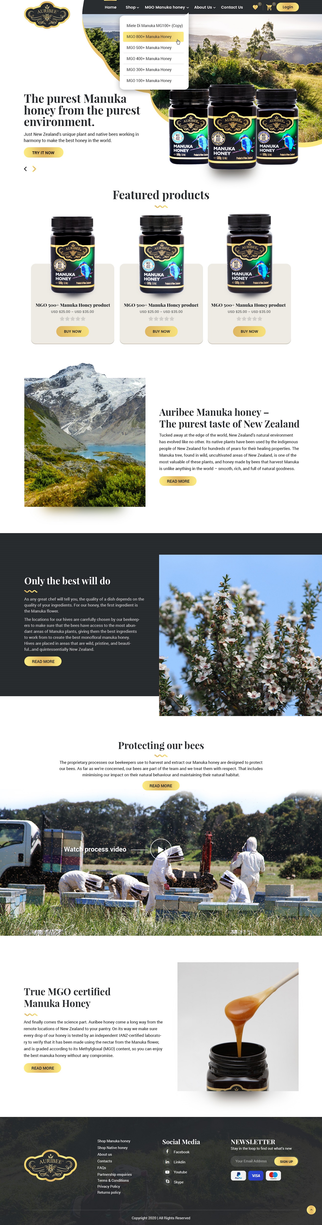 Web Design by NZ Creatives for Aurihealth | Design #23881519