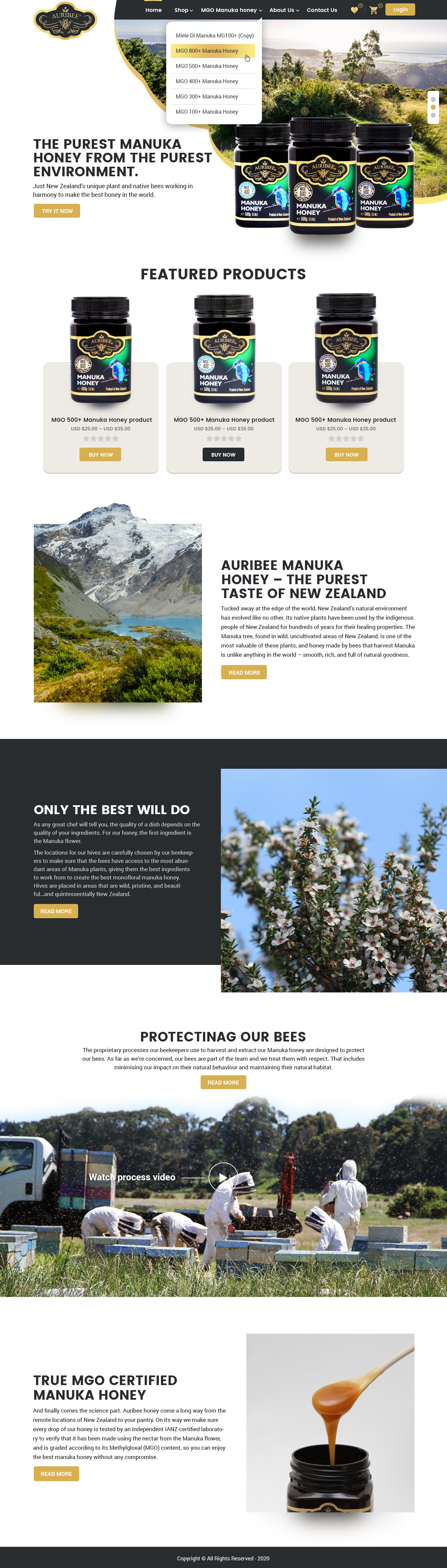 Web-Design von NZ Creatives für Aurihealth | Design #23883195