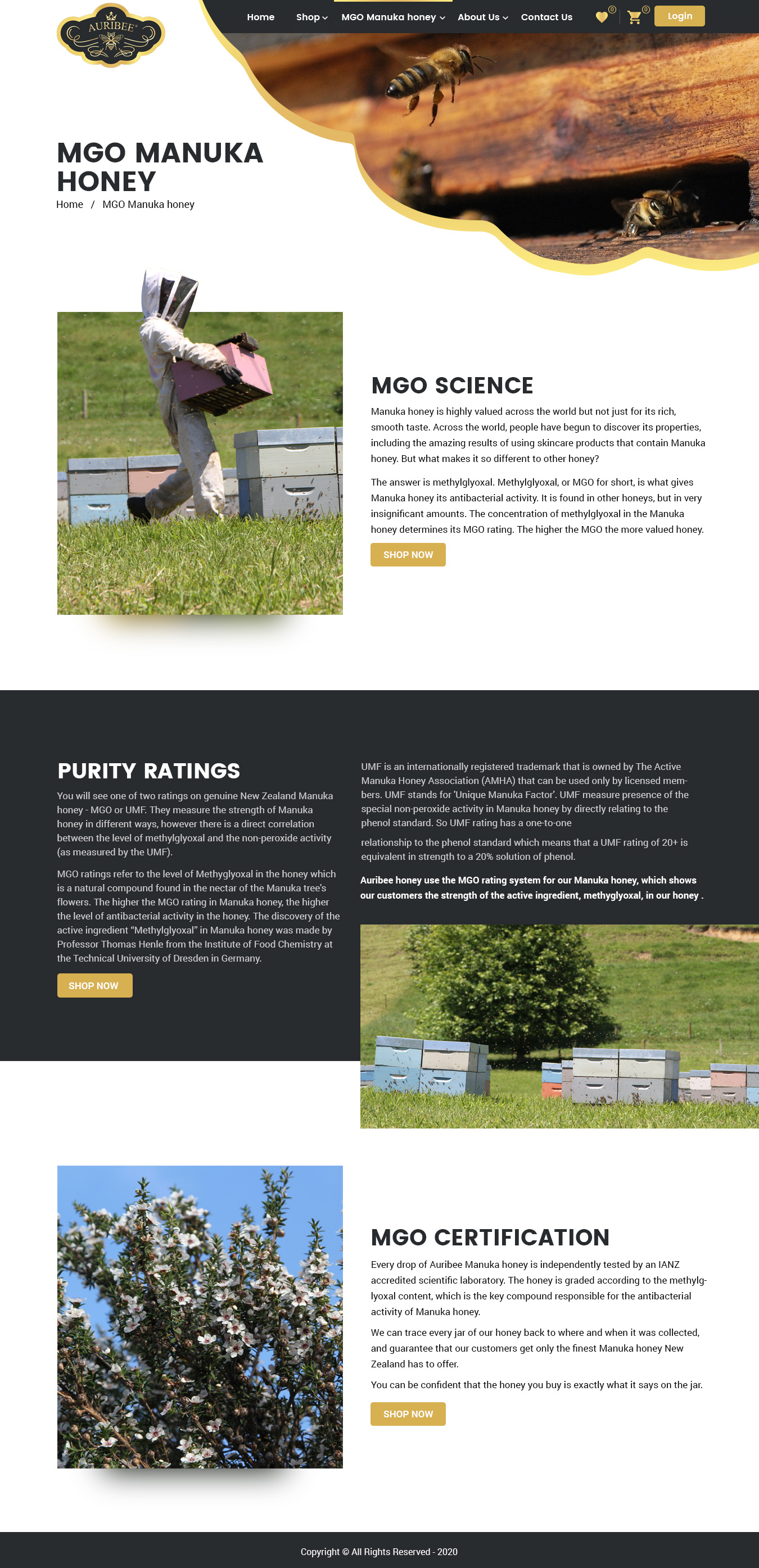 Web-Design von NZ Creatives für Aurihealth | Design #23901393