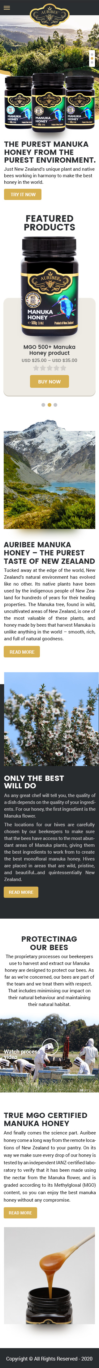 Web-Design von NZ Creatives für Aurihealth | Design #23901394