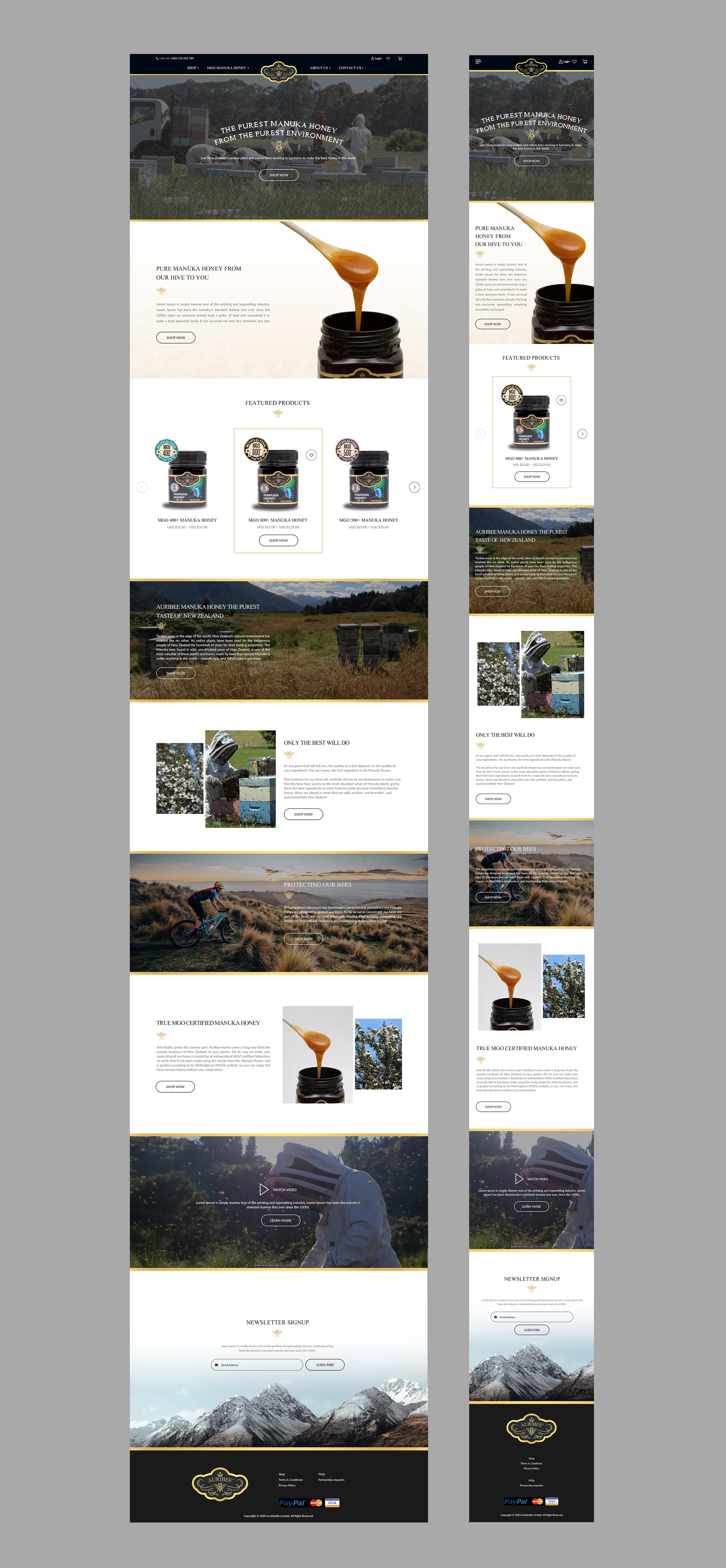 Web Design by bdesigner9 for Aurihealth | Design #23893368