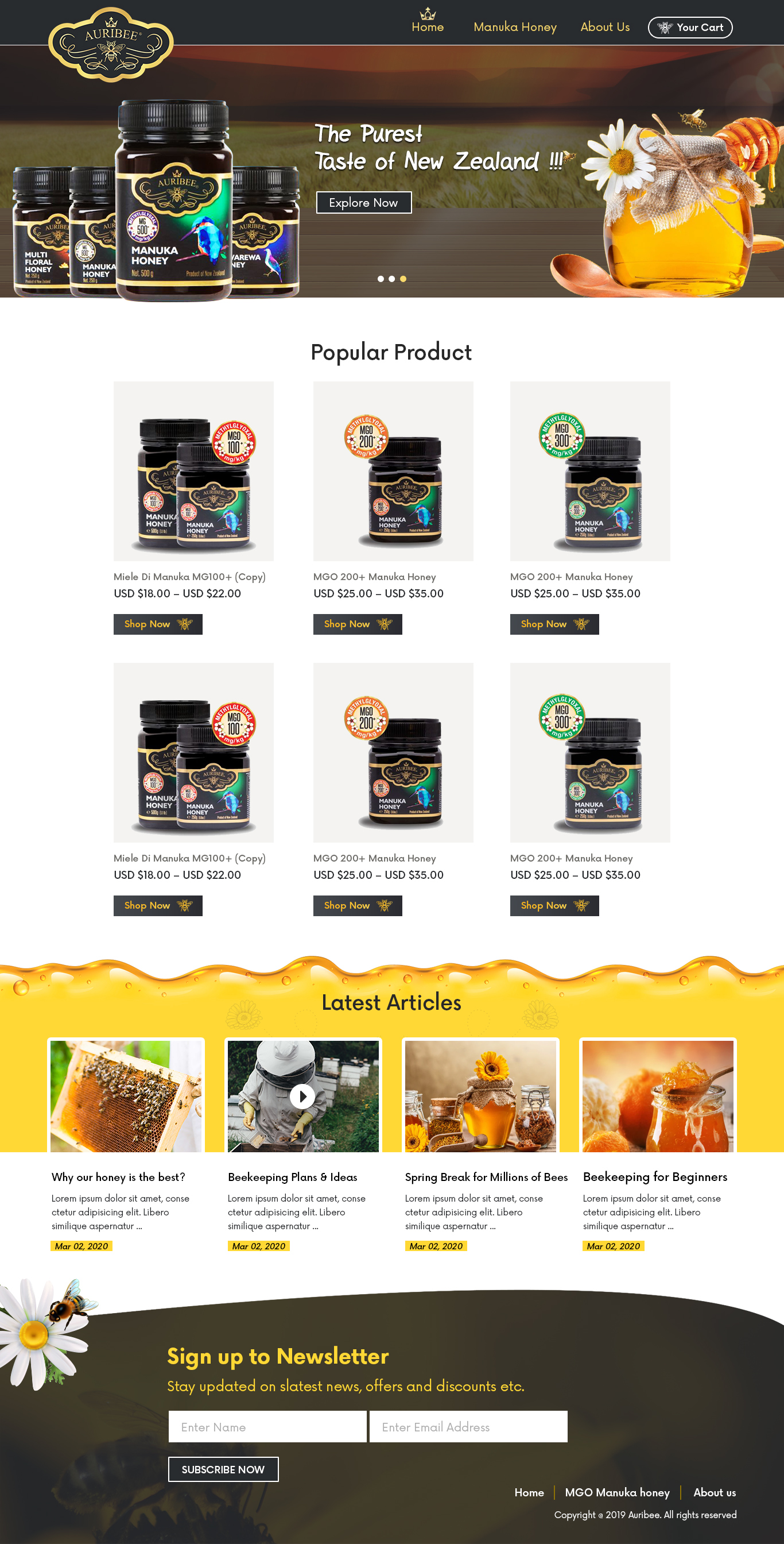 Diseño Web por Artistic Flora para Aurihealth | Diseño #23828951