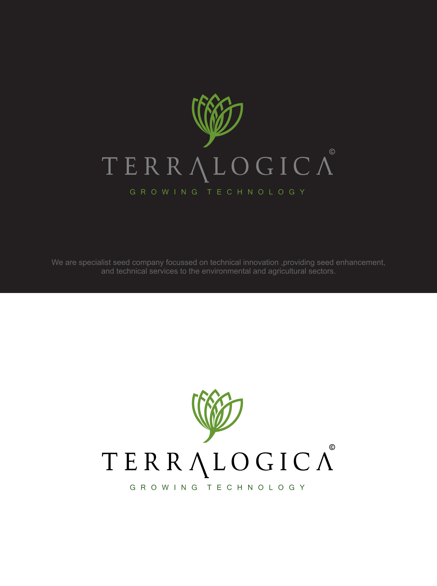 Logo Design by NSP Design for Terralogica | Design #23888766
