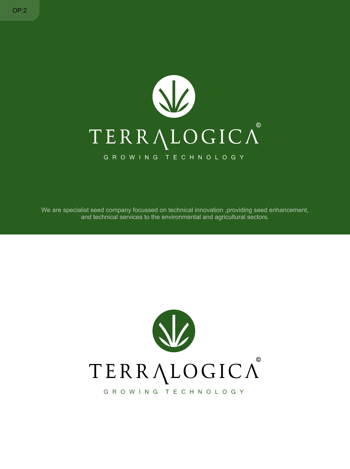 Logo Design by NSP Design for Terralogica | Design #23888808
