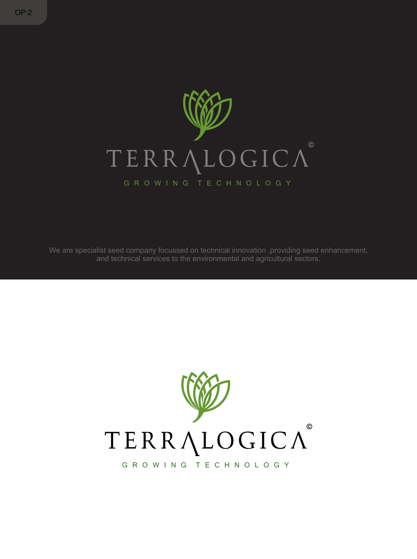 Logo Design by NSP Design for Terralogica | Design #23888834