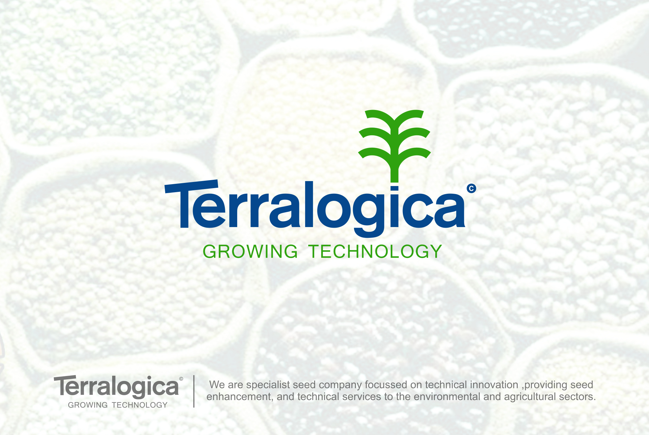 Logo Design by NSP Design for Terralogica | Design #23923001