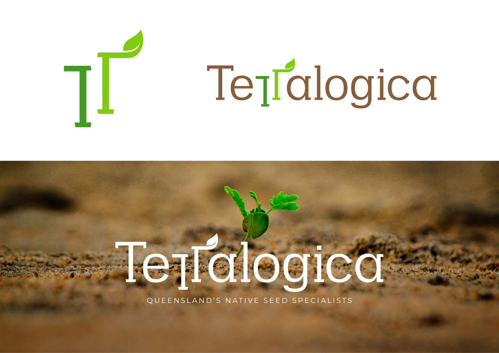 Logo Design by Cyanide Designz for Terralogica | Design #23878517