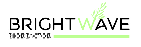 Diseño de Logo por Margaux.Entz para BrightWave | Diseño #23836410