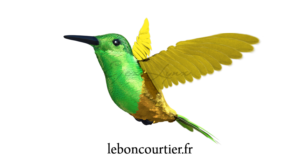 dessin colibri hummingbird 3D type mascotte | 3D Design by ejcx
