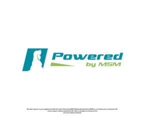Powered by MSM | Logo Design by Ng V Duc