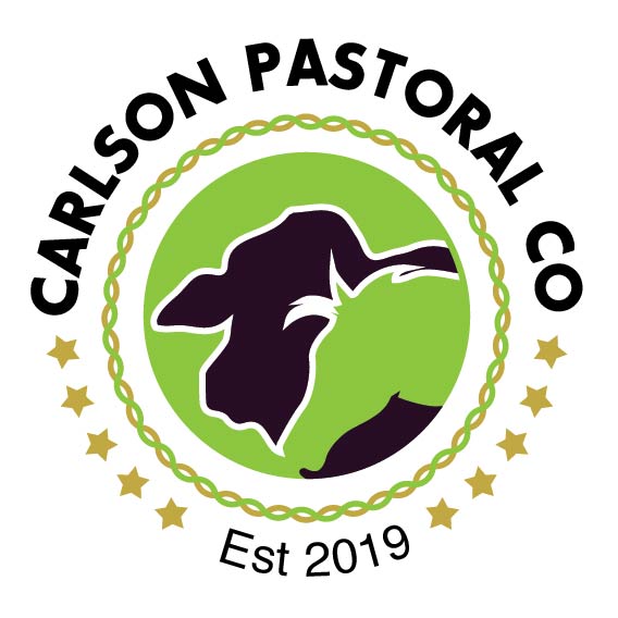 Logo Design by Habib Shah for Carlson Pastoral Co. Pty Ltd | Design #23855100