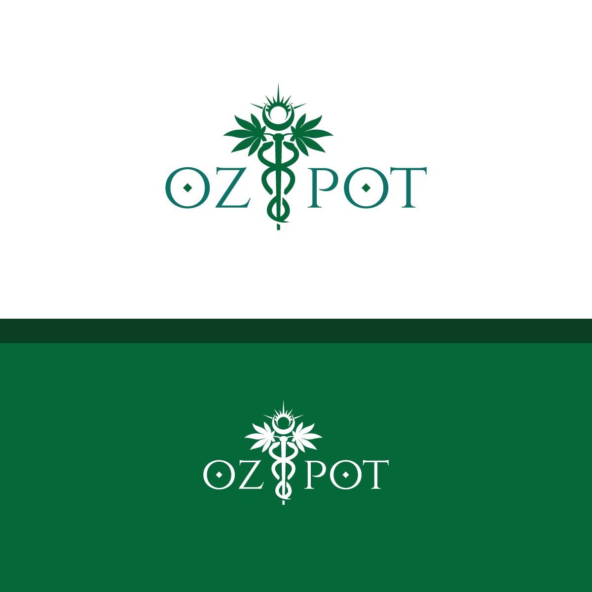 Logo Design by Graphic Bricks for this project | Design #23846587