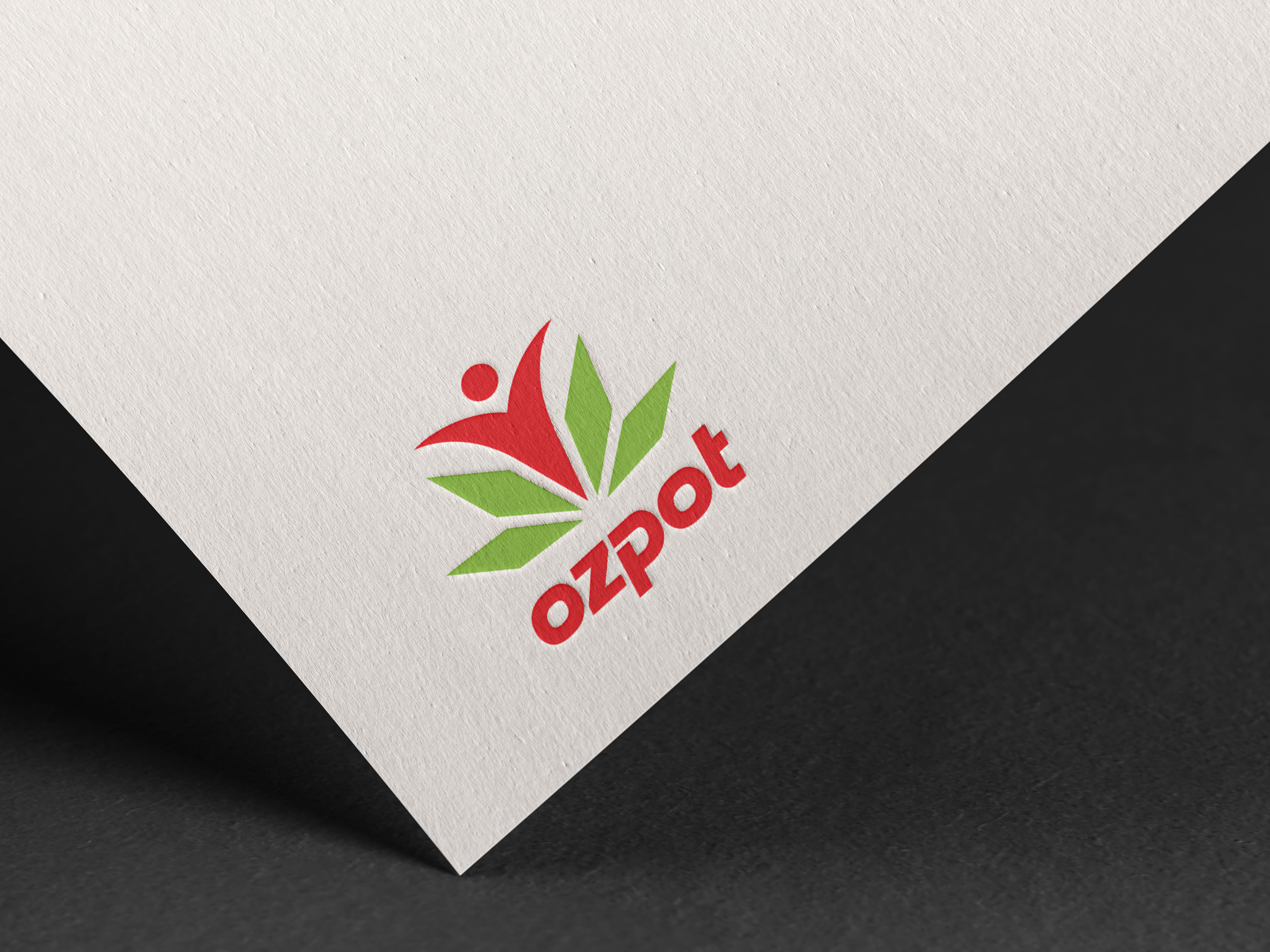 Logo Design by Abdul 20 for this project | Design #23880016