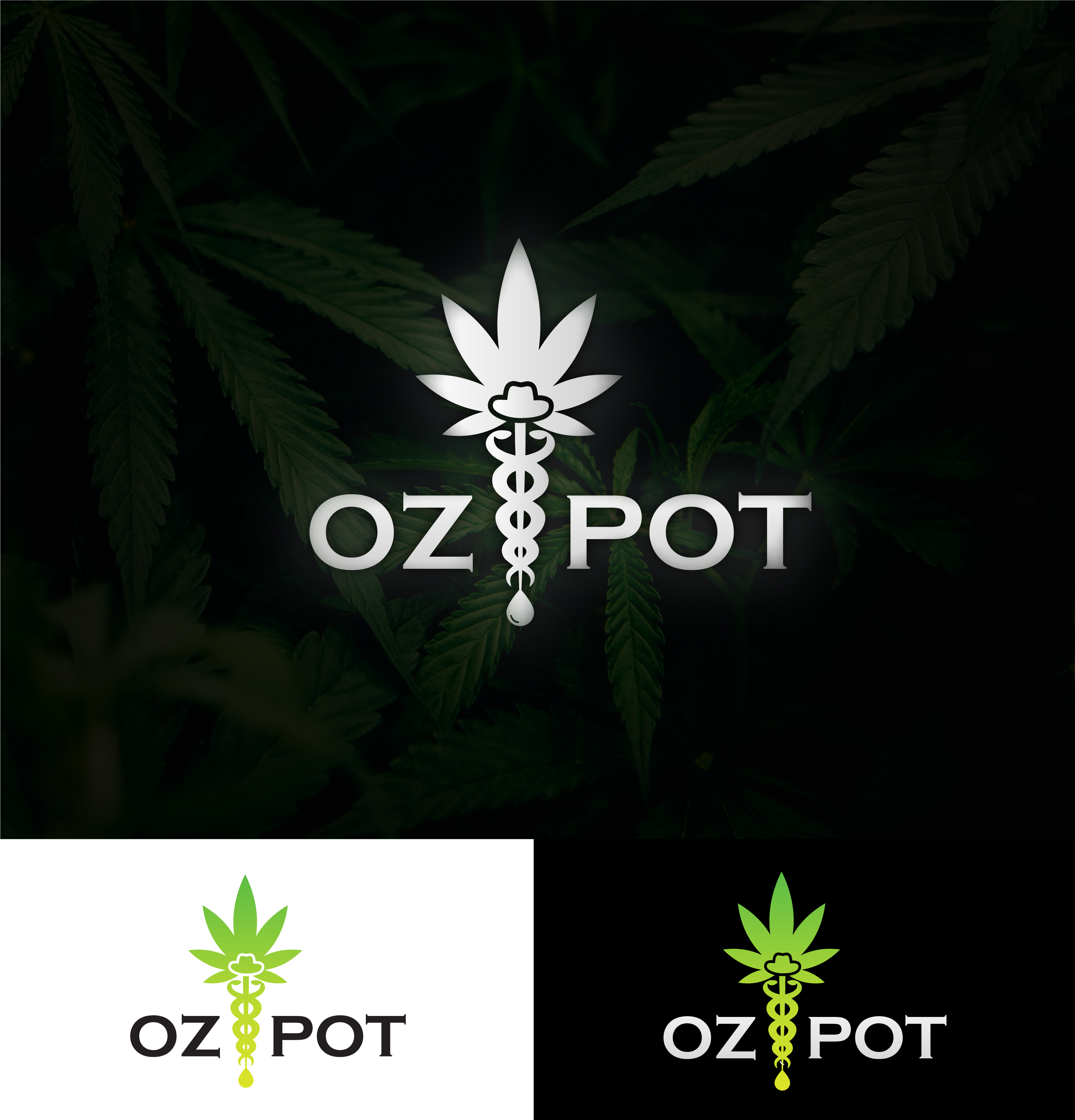 Logo Design by Ali 108 for this project | Design #23894680