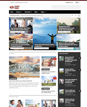 Wordpress Design by  Andy Dollinger