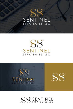 Logo Design by Deziners Zone for Sentinel Way | Design: #23855228