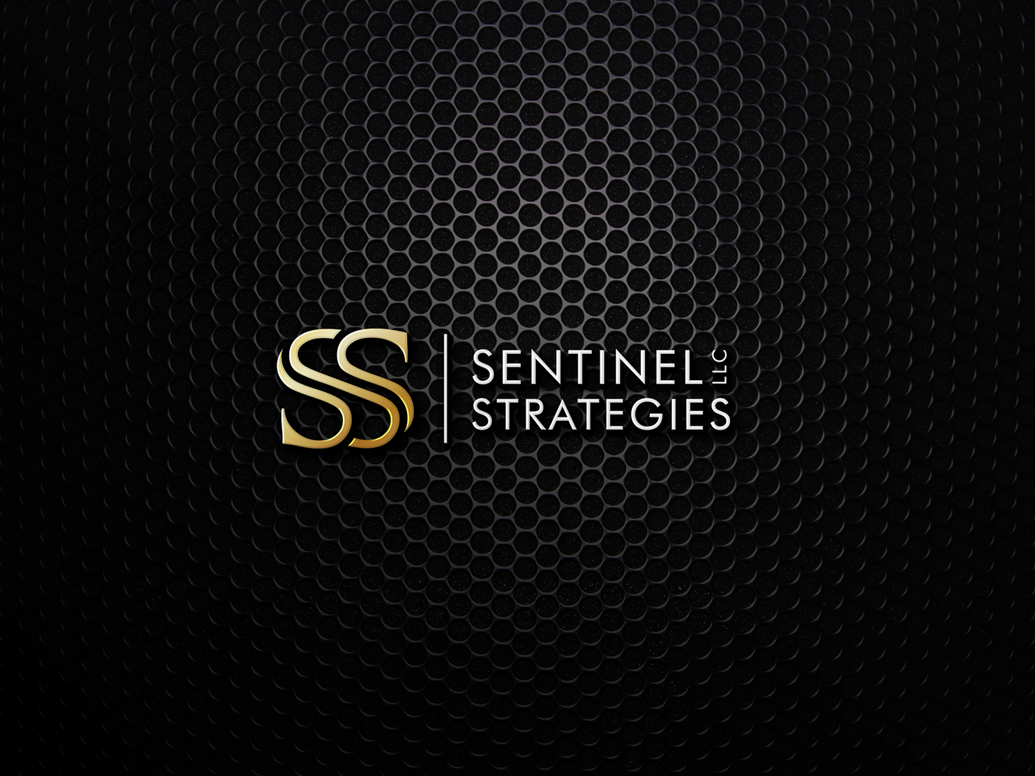 Logo Design by Muhammad Imran 3 for Sentinel Way | Design #23861459