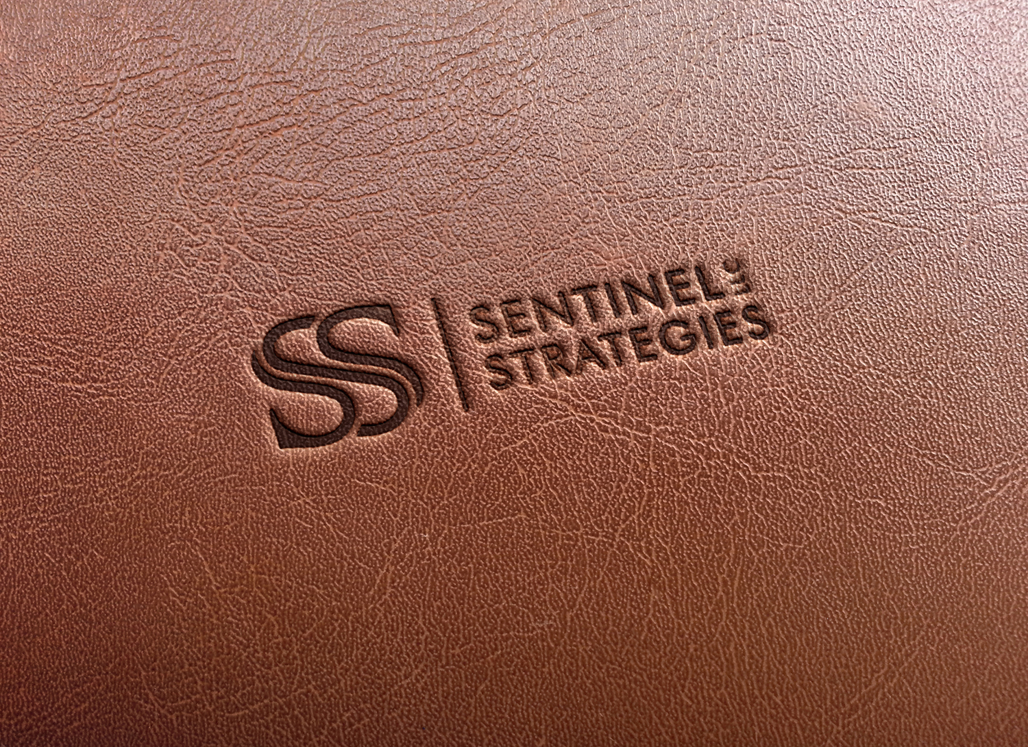 Logo Design by Muhammad Imran 3 for Sentinel Way | Design #23861460