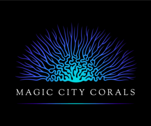 Logo Design by Nicole Hone